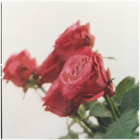 写真家 高橋恭司展「Lost Time」開催